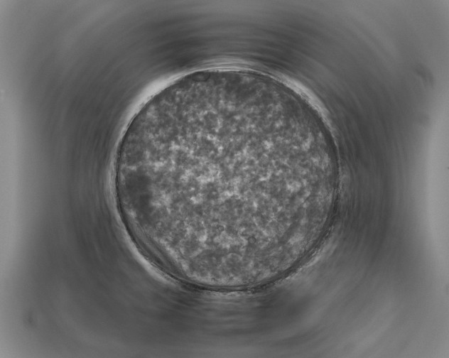 X0000113071429200909250920