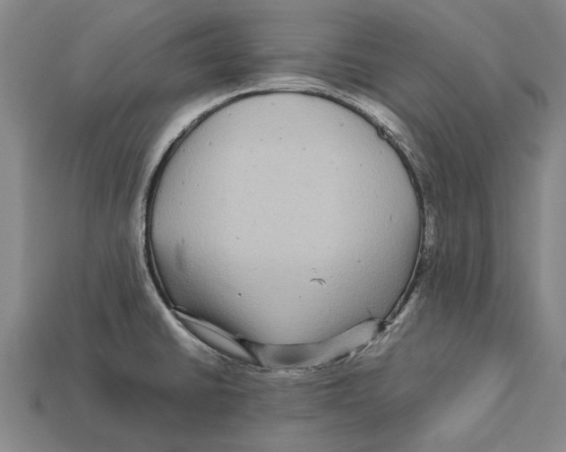 X0000113071430200909250920