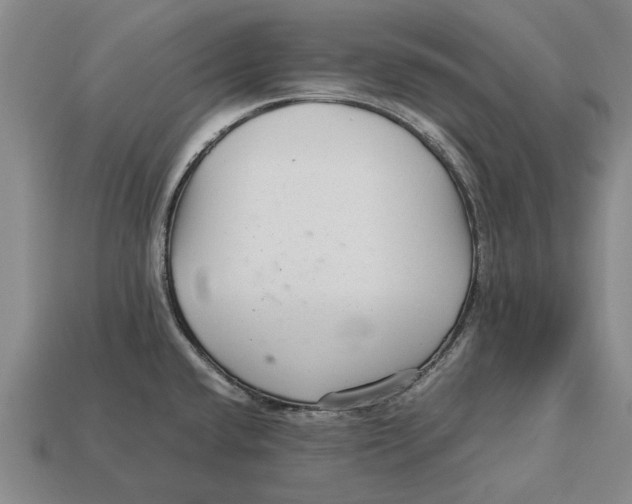 X0000113071432200909250920