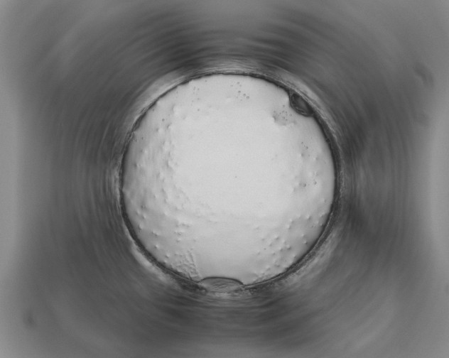 X0000113071433200909250920
