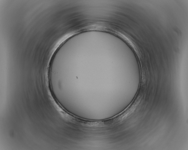 X0000113071434200909250920