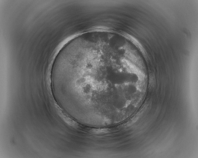 X0000113071435200909250920