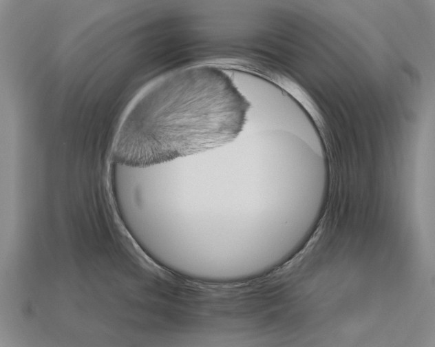 X0000113071436200909250920
