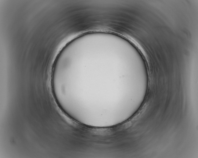 X0000113071437200909250920