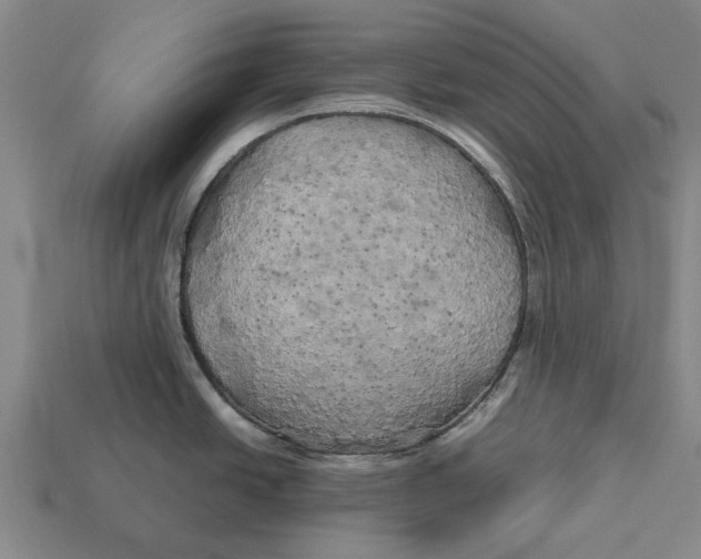 X0000113071438200909250920