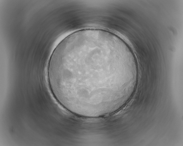 X0000113071440200909250920