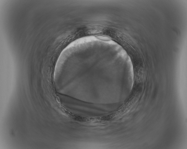 X0000113071441200909250920