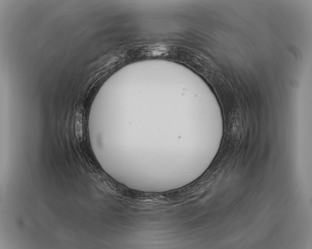 X0000113071442200909250920