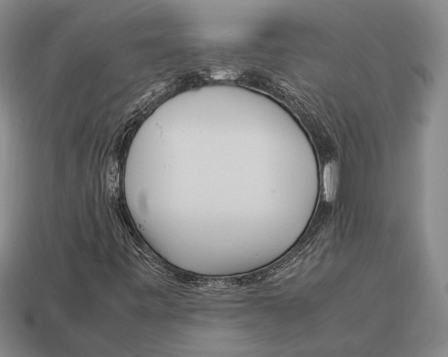 X0000113071443200909250919