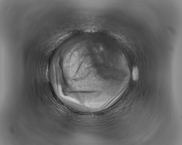 X0000113071444200909250919