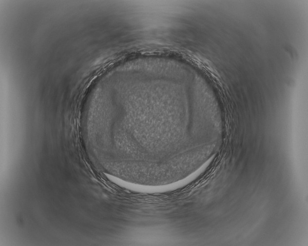 X0000113071445200909250919