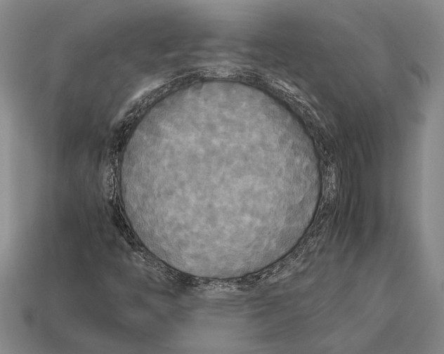 X0000113071446200909250919