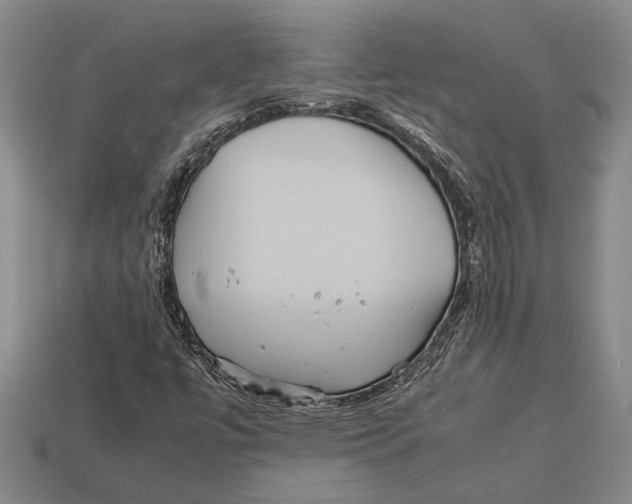 X0000113071447200909250919