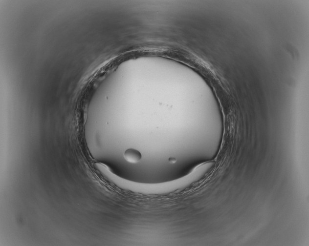 X0000113071448200909250919