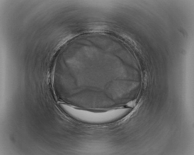 X0000113071449200909250919