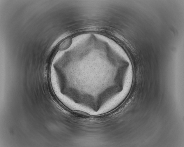 X0000113071450200909250919