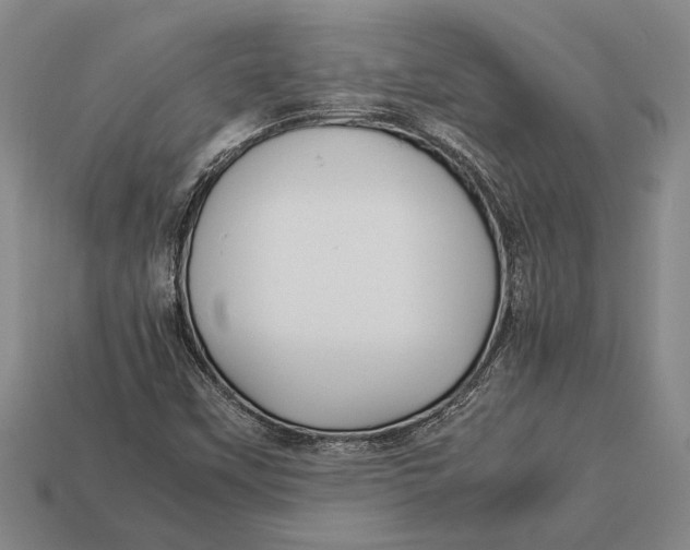 X0000113071451200909250919