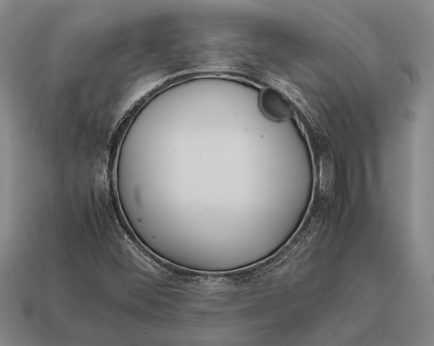 X0000113071452200909250919