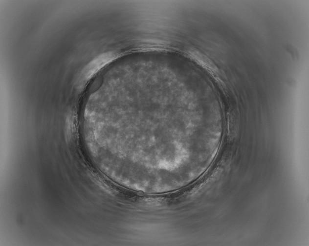 X0000113071453200909250919