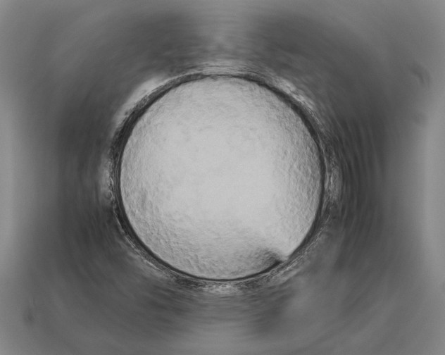X0000113071454200909250919