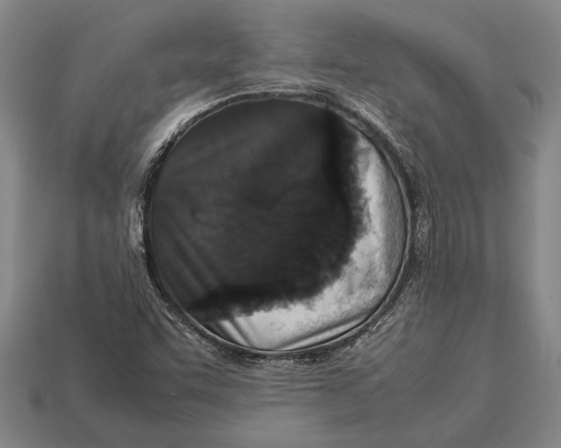 X0000113071455200909250919
