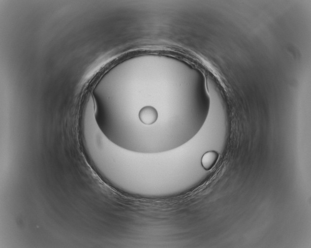 X0000113071456200909250919