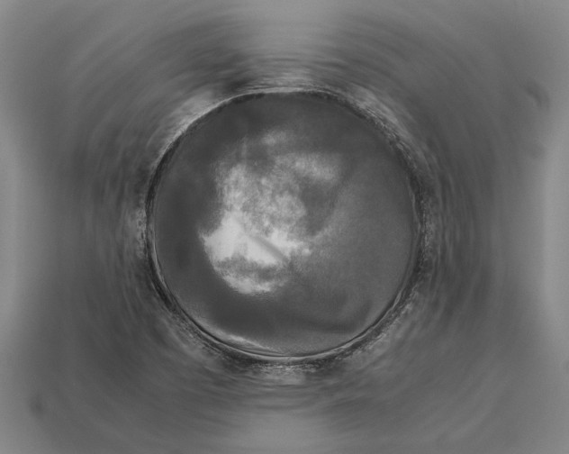 X0000113071457200909250919