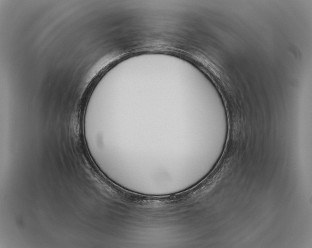 X0000113071458200909250919