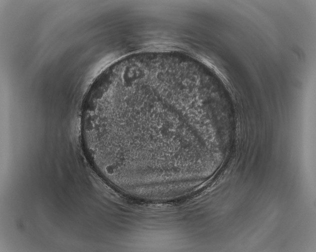 X0000113071459200909250919