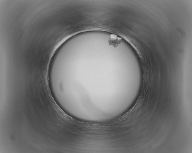 X0000113071460200909250919