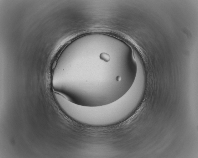 X0000113071461200909250919