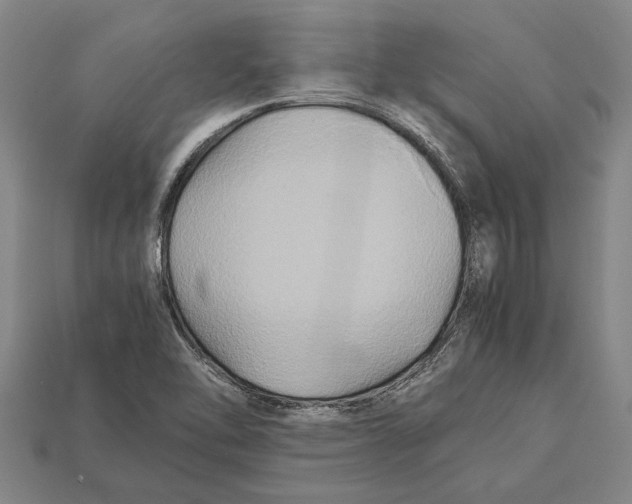 X0000113071462200909250919