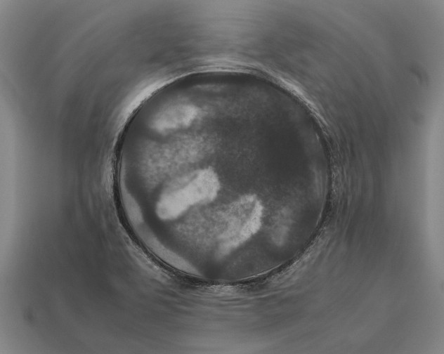 X0000113071463200909250919