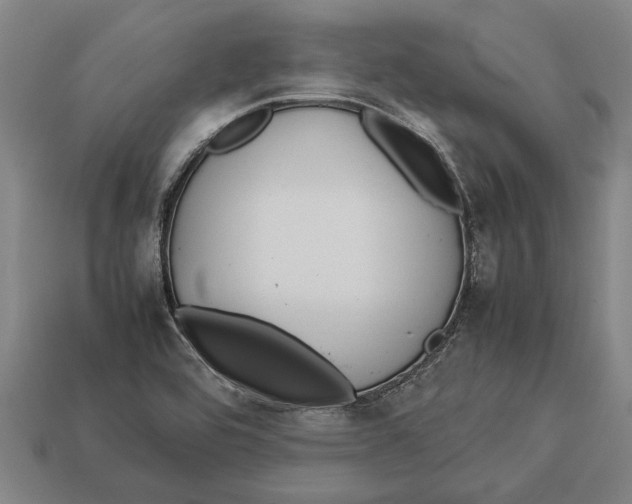 X0000113071464200909250919