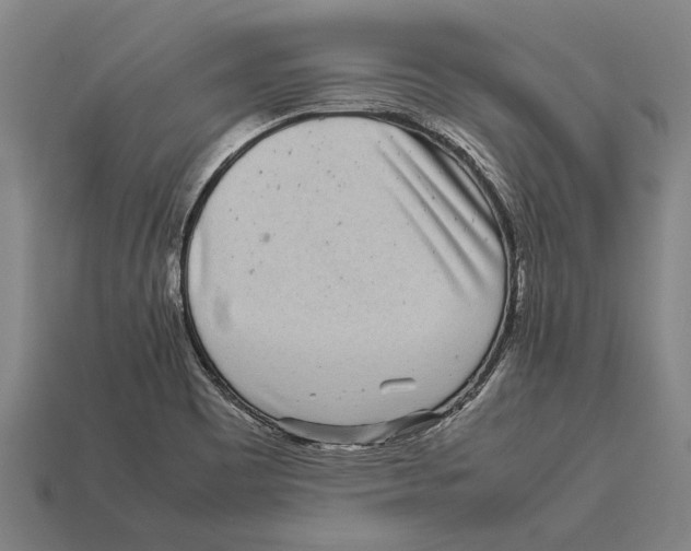 X0000113071465200909250919