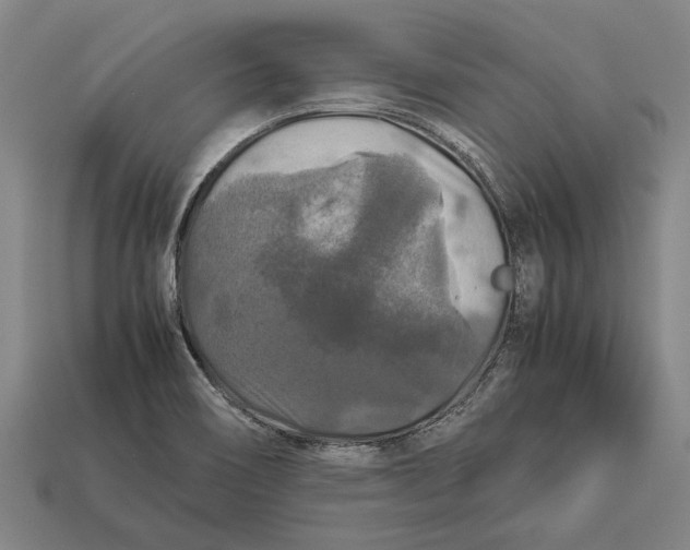 X0000113071466200909250919