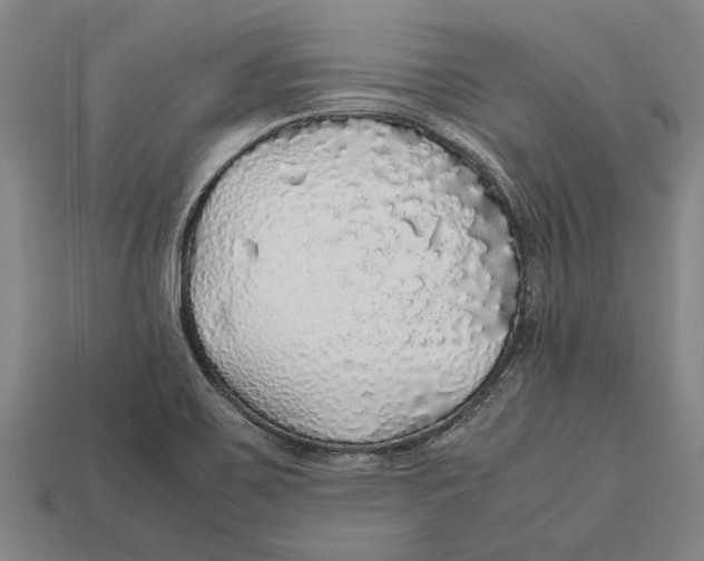 X0000113071467200909250919