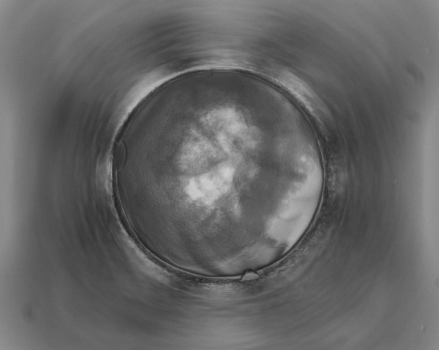 X0000113071468200909250919