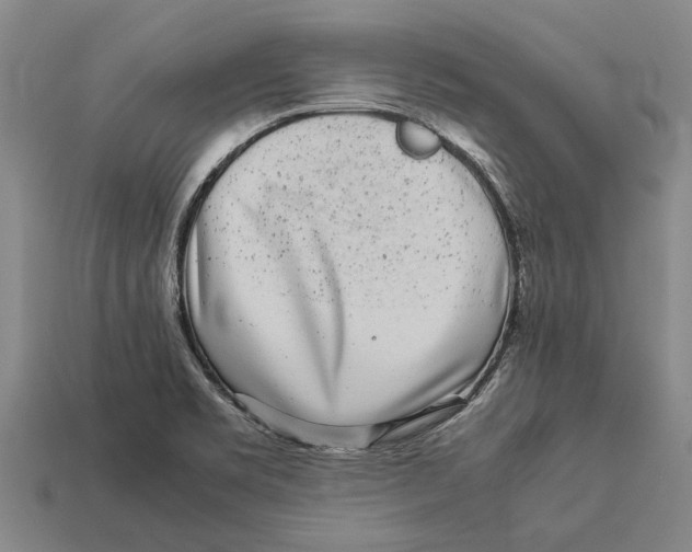 X0000113071469200909250919