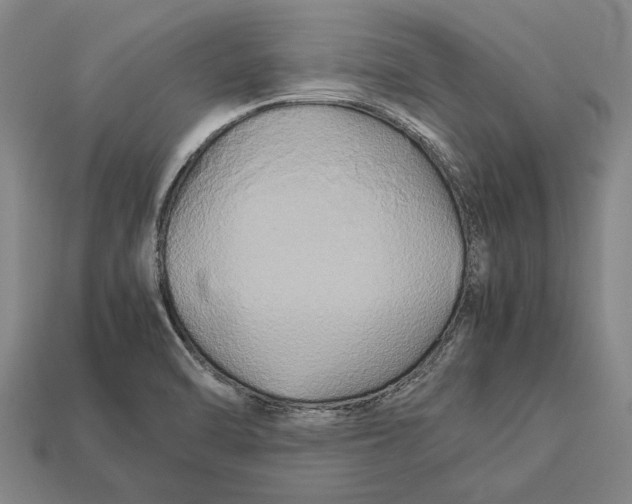 X0000113071470200909250919