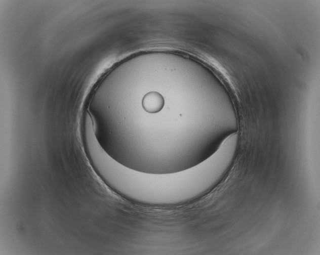 X0000113071472200909250919