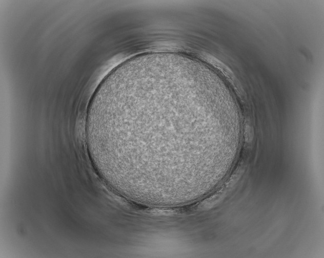 X0000113071473200909250919