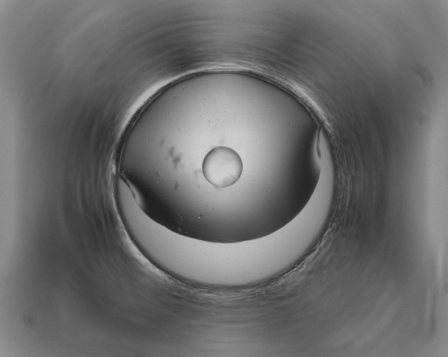 X0000113071476200909250919