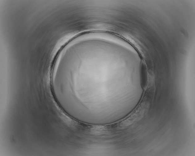 X0000113071477200909250919