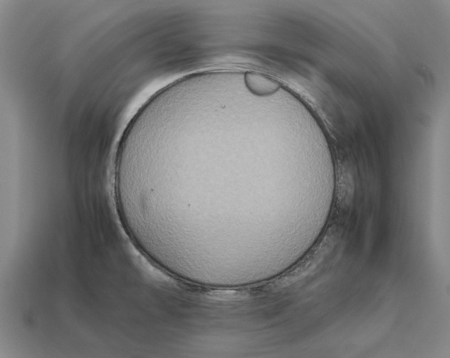X0000113071478200909250919