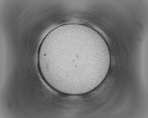 X0000113071479200909250919
