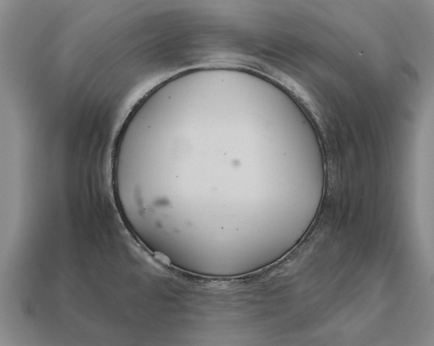 X0000113071480200909250919