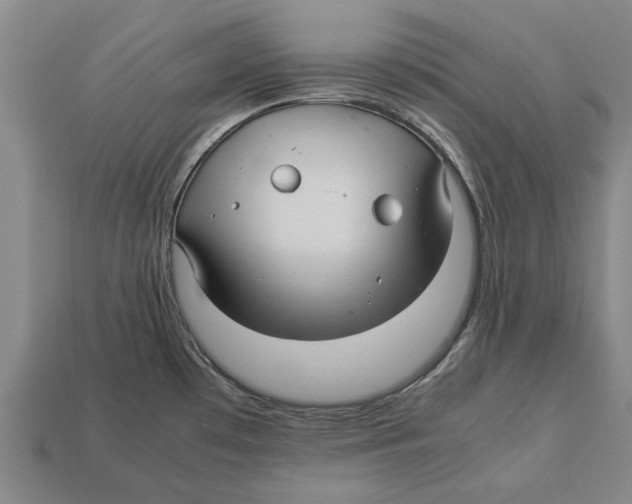 X0000113071481200909250919