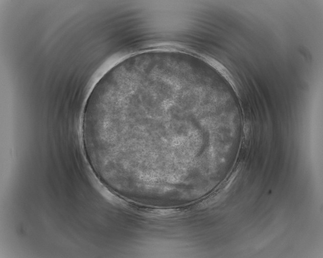 X0000113071482200909250919