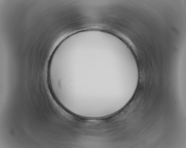 X0000113071483200909250919